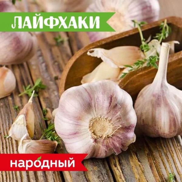 Как бороться с укусами комаров?