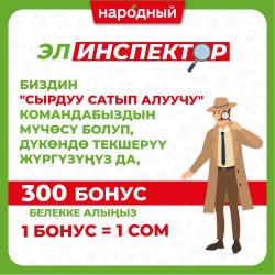 ЭЛ-инспектор